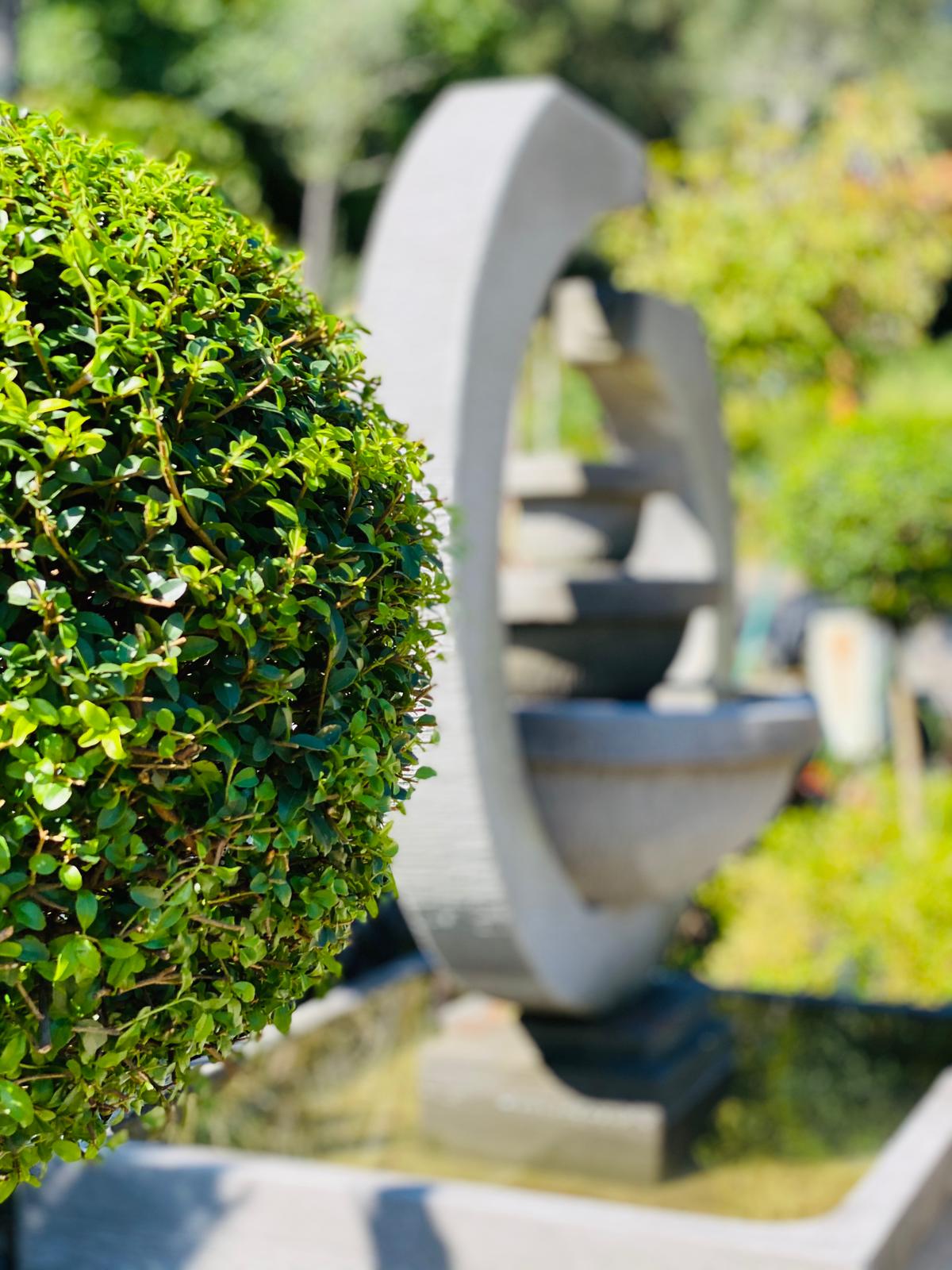 PEPINIERE DES ASPRES GRASSE 2024 ALPES MARITIMES JARDINERIE