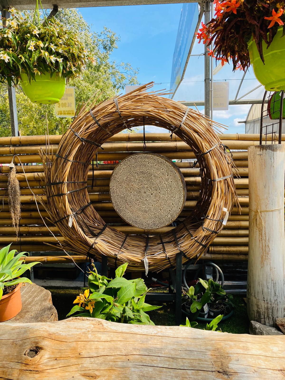 PEPINIERE DES ASPRES GRASSE 2024 ALPES MARITIMES JARDINERIE