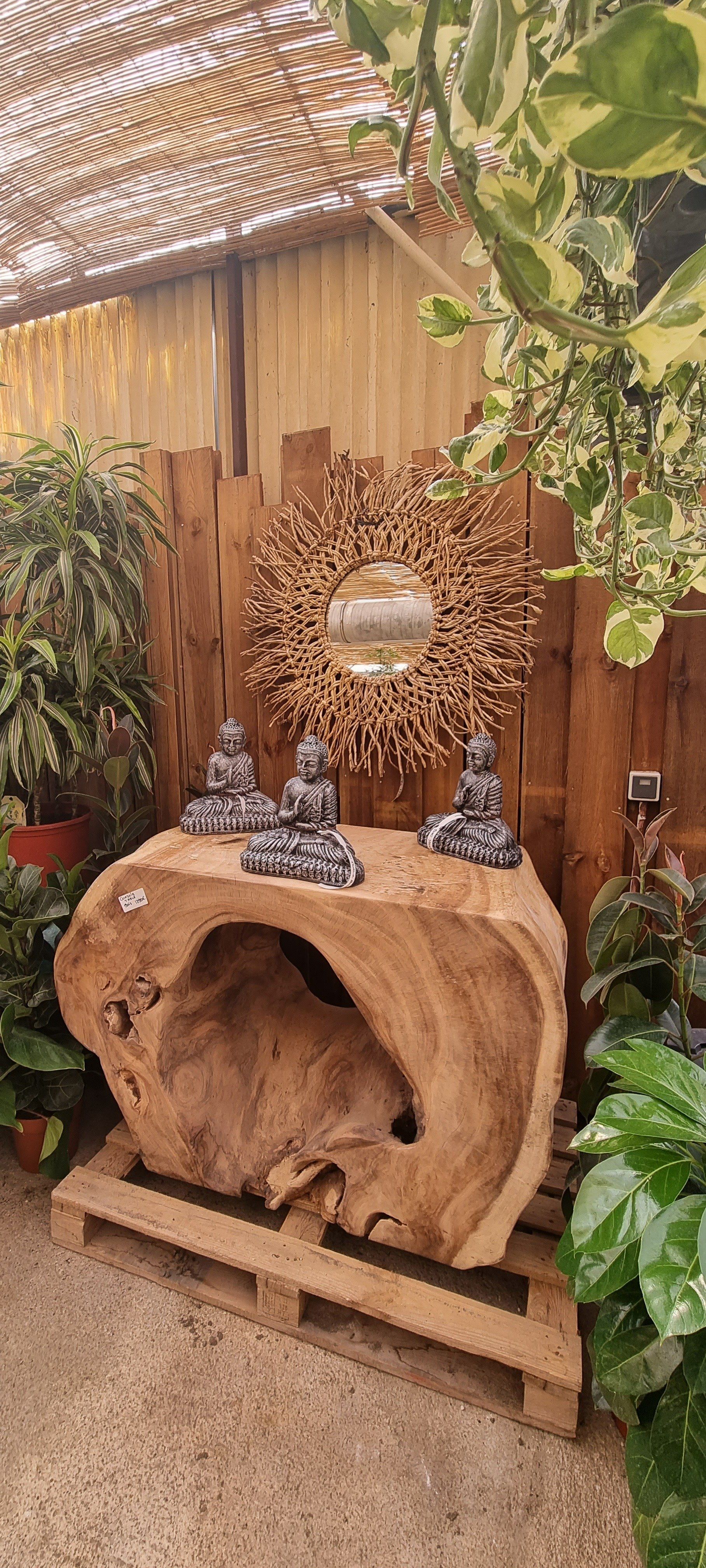 PEPINIERE DES ASPRES GRASSE 2024 ALPES MARITIMES JARDINERIE