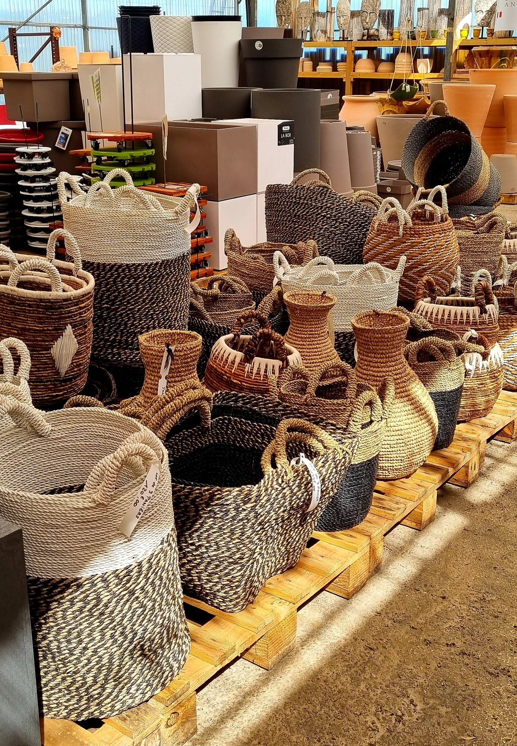 PEPINIERE DES ASPRES GRASSE 2024 ALPES MARITIMES JARDINERIE