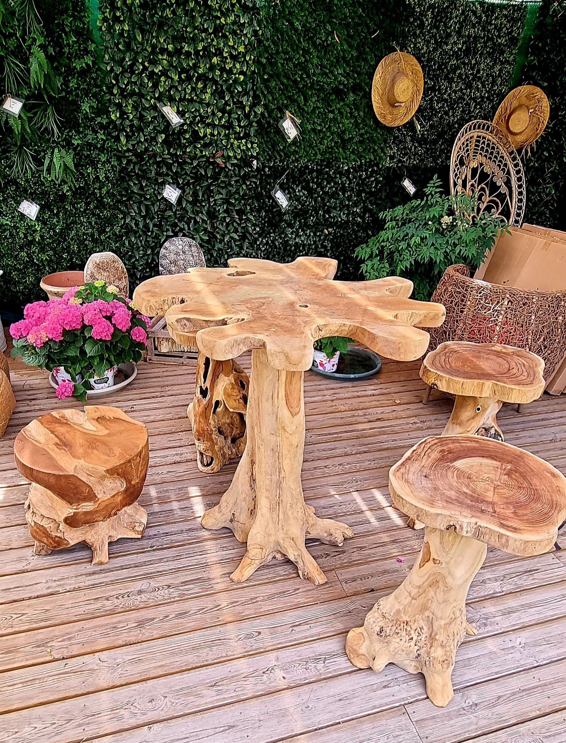 PEPINIERE DES ASPRES GRASSE 2024 ALPES MARITIMES JARDINERIE