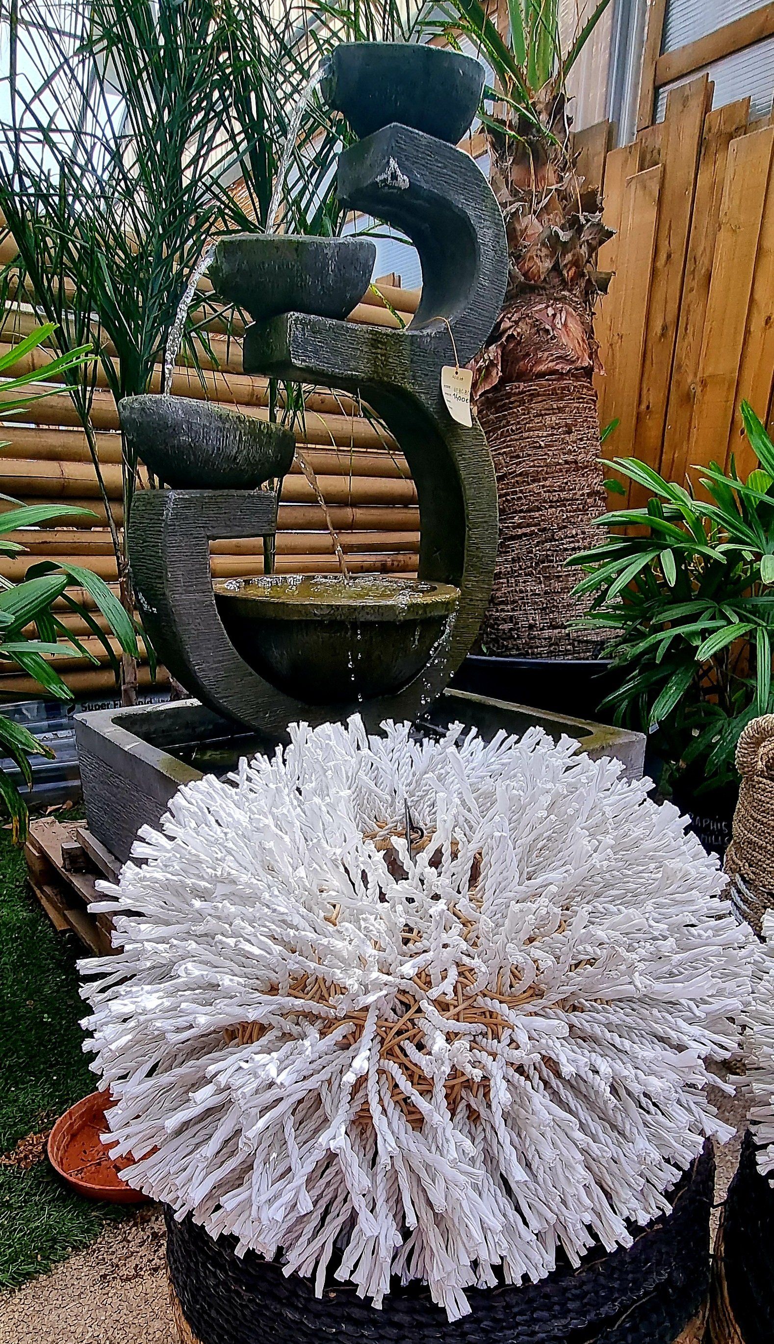 PEPINIERE DES ASPRES GRASSE 2024 ALPES MARITIMES JARDINERIE