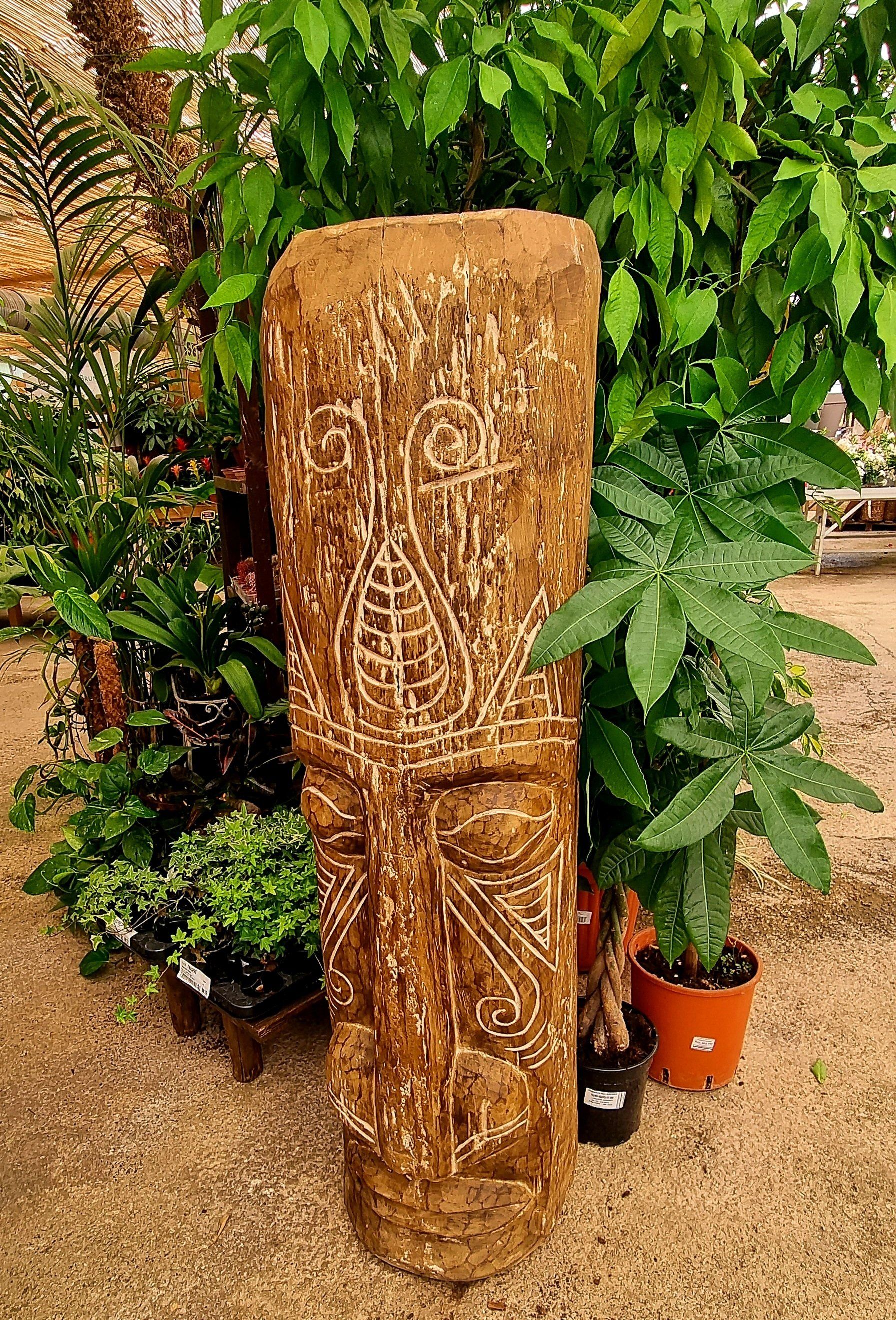 PEPINIERE DES ASPRES GRASSE 2024 ALPES MARITIMES JARDINERIE