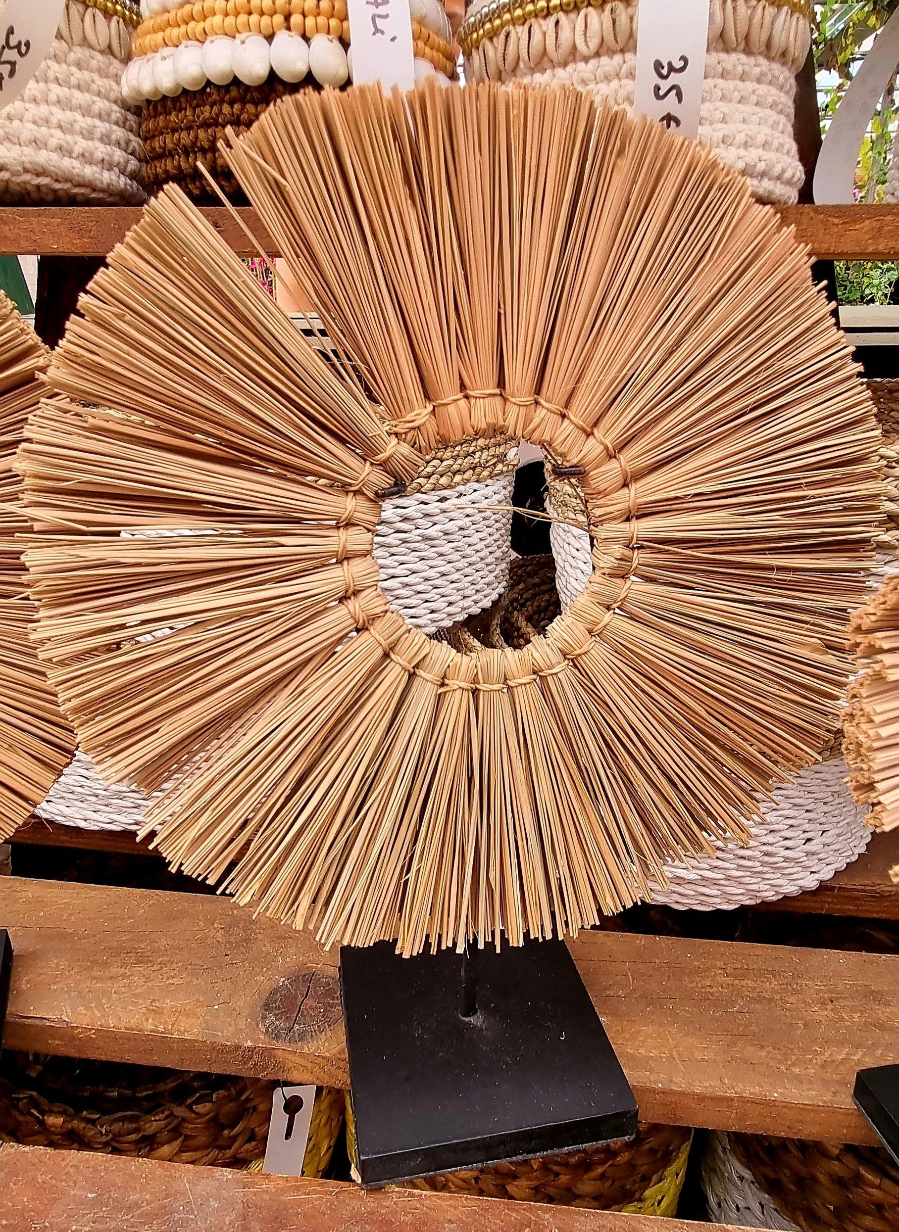 PEPINIERE DES ASPRES GRASSE 2024 ALPES MARITIMES JARDINERIEPEPINIERE DES ASPRES GRASSE 2024