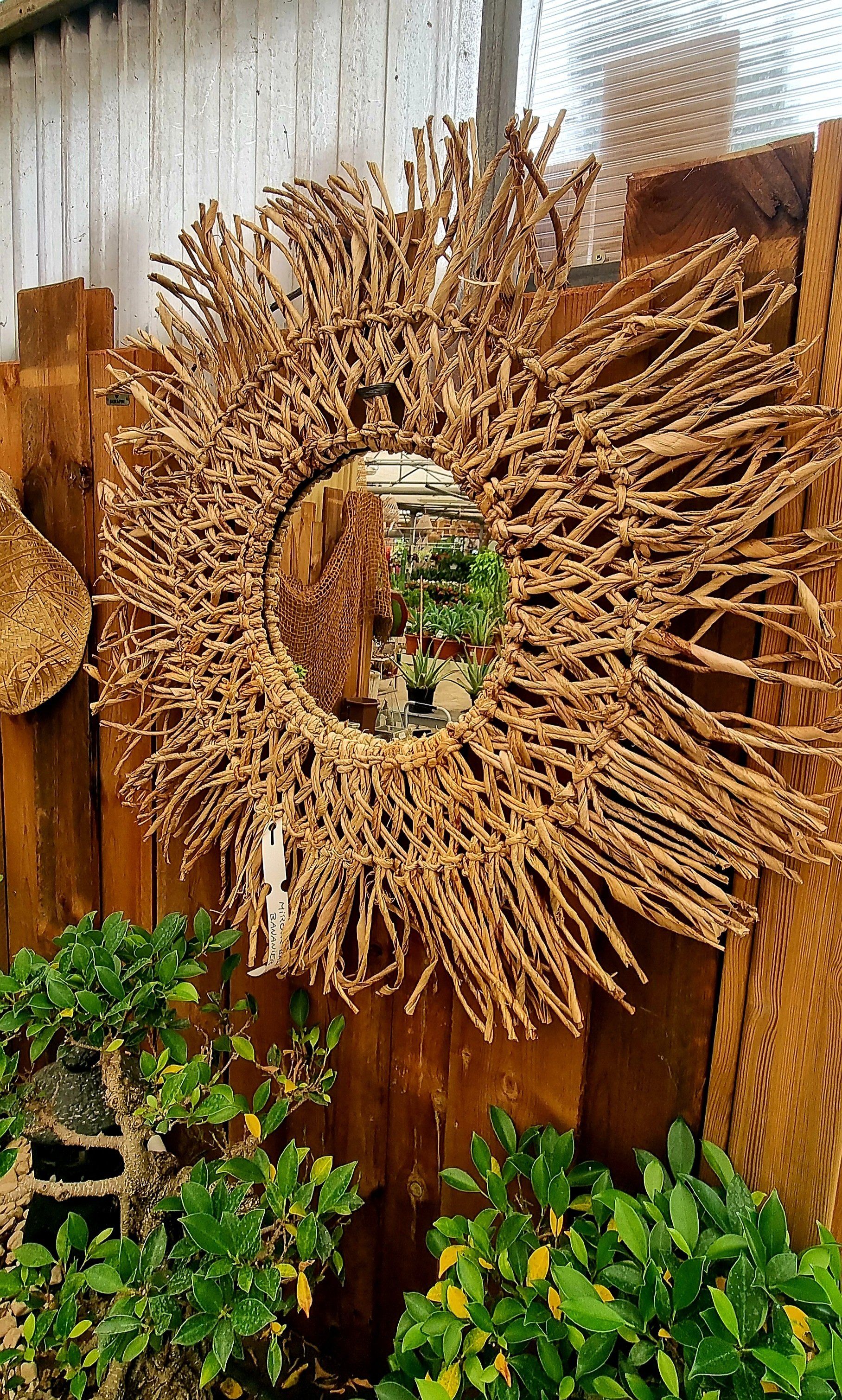 PEPINIERE DES ASPRES GRASSE 2024 ALPES MARITIMES JARDINERIE