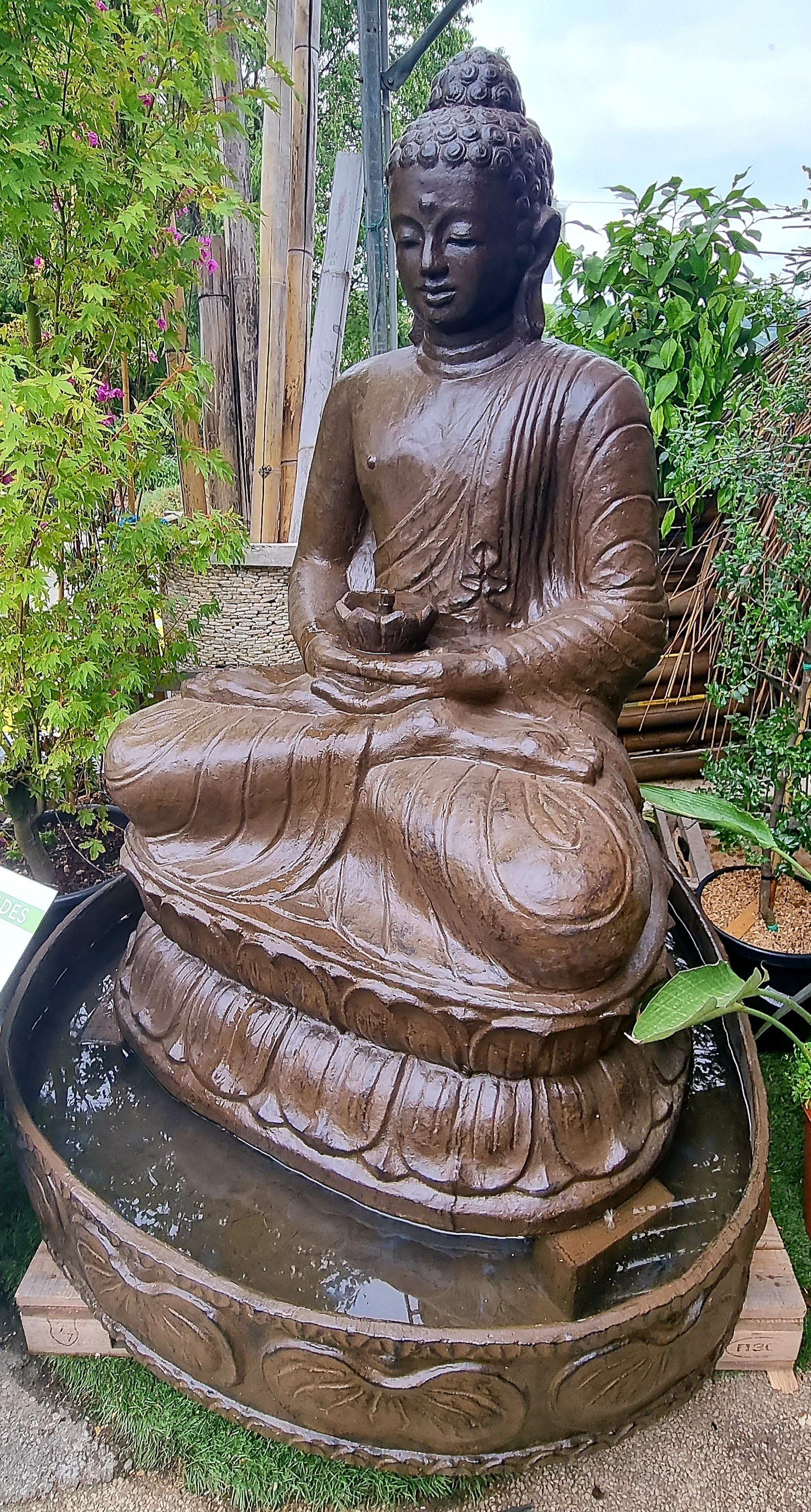 PEPINIERE DES ASPRES GRASSE 2024 ALPES MARITIMES JARDINERIE