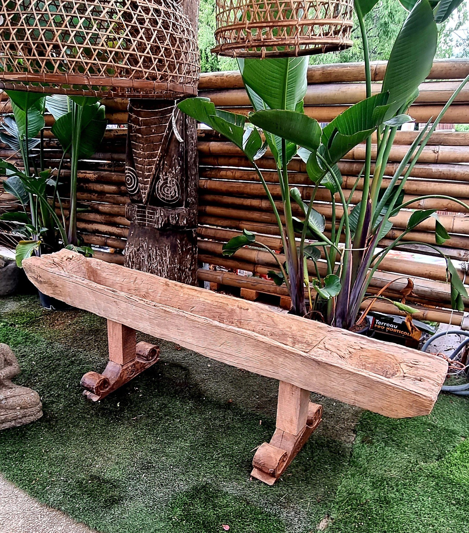 PEPINIERE DES ASPRES GRASSE 2024 ALPES MARITIMES JARDINERIE