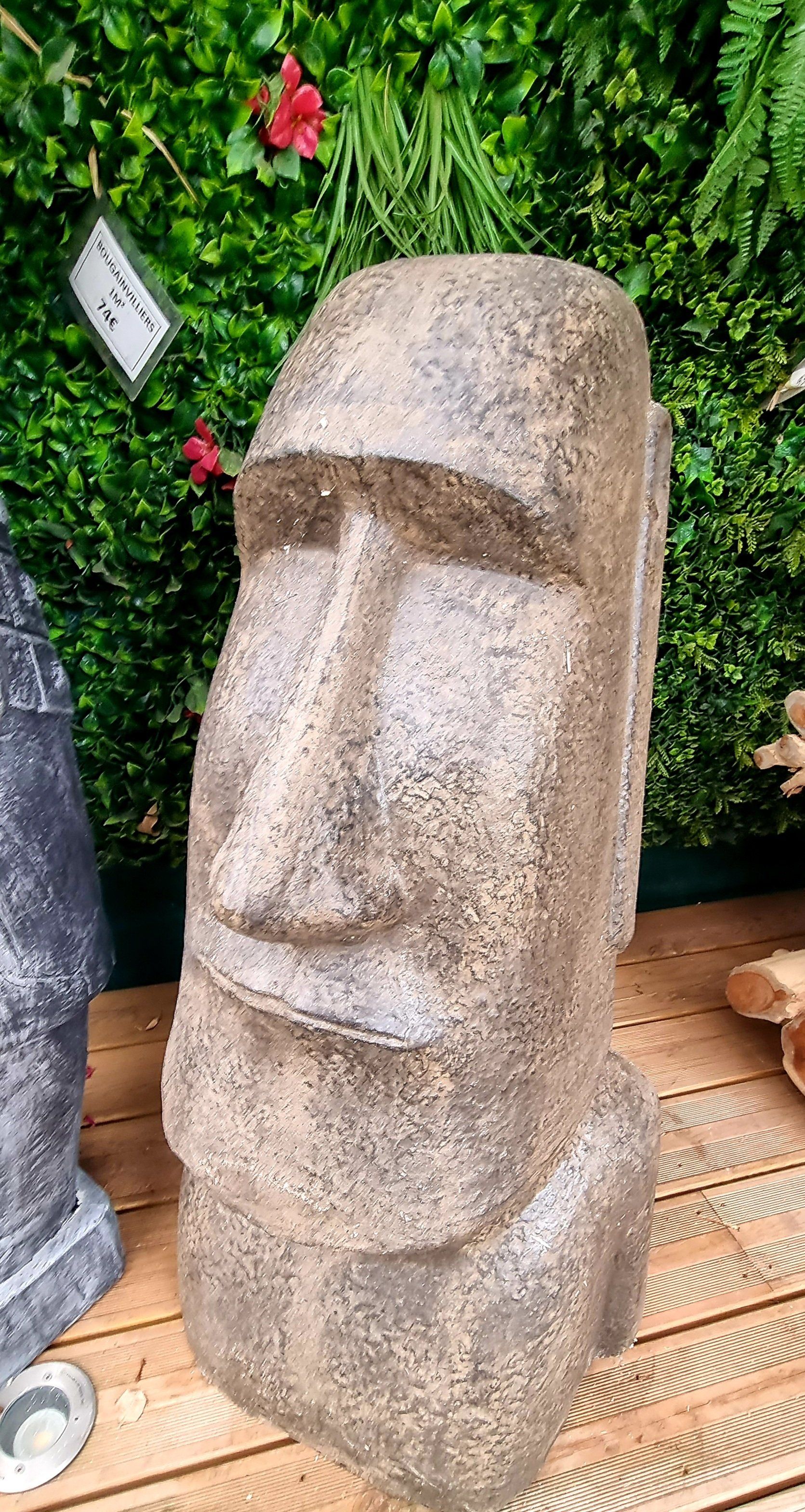 PEPINIERE DES ASPRES GRASSE 2024 ALPES MARITIMES JARDINERIE