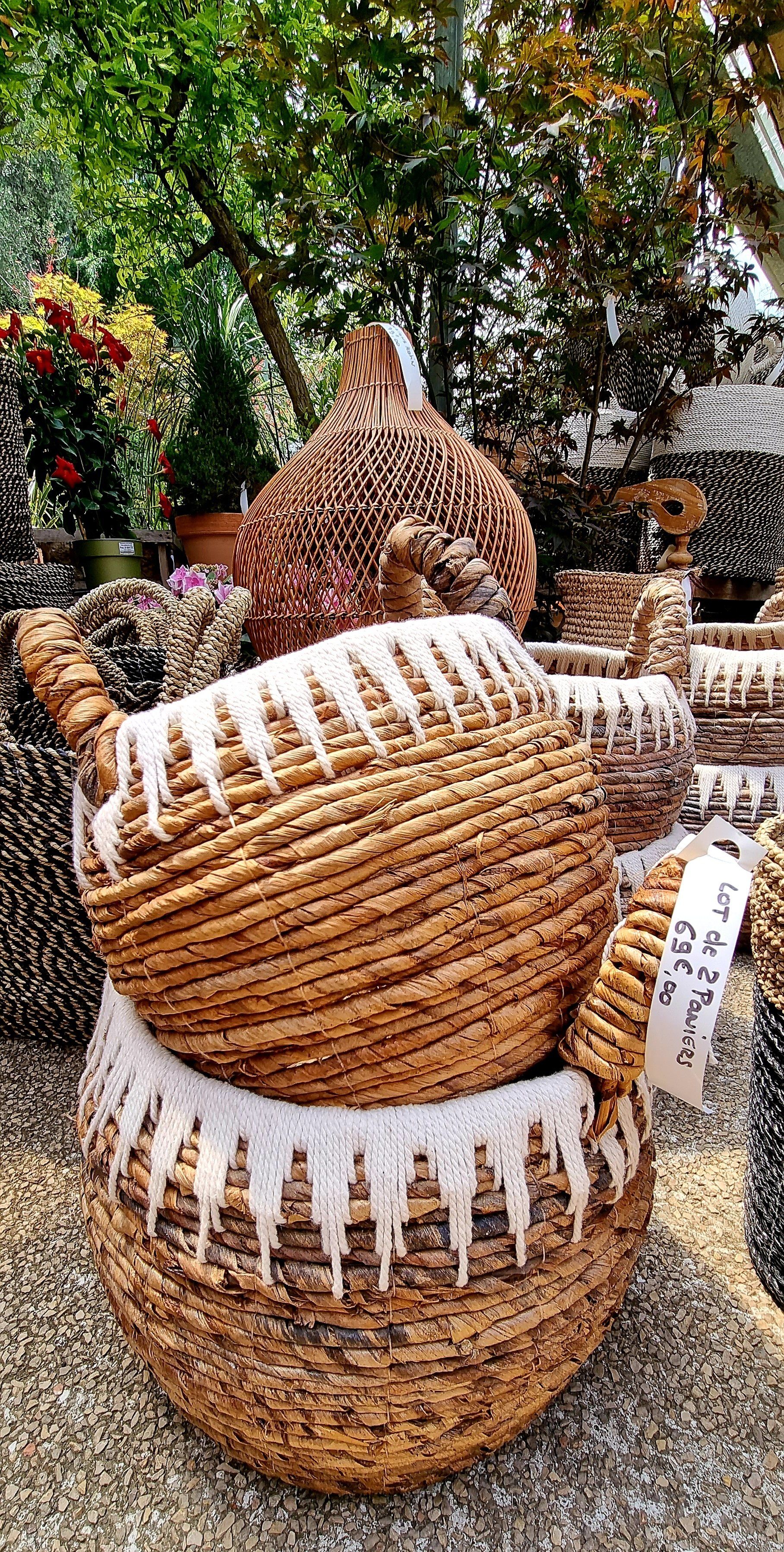 PEPINIERE DES ASPRES GRASSE 2024 ALPES MARITIMES JARDINERIE