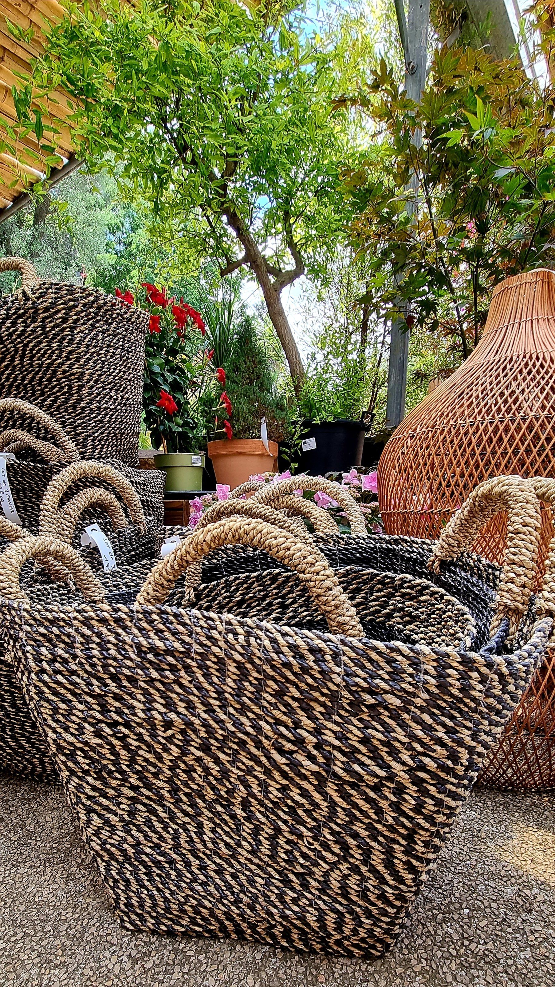 PEPINIERE DES ASPRES GRASSE 2024 ALPES MARITIMES JARDINERIE