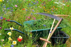 PEPINIERE DES ASPRES GRASSE 2024 ALPES MARITIMES JARDINERIE