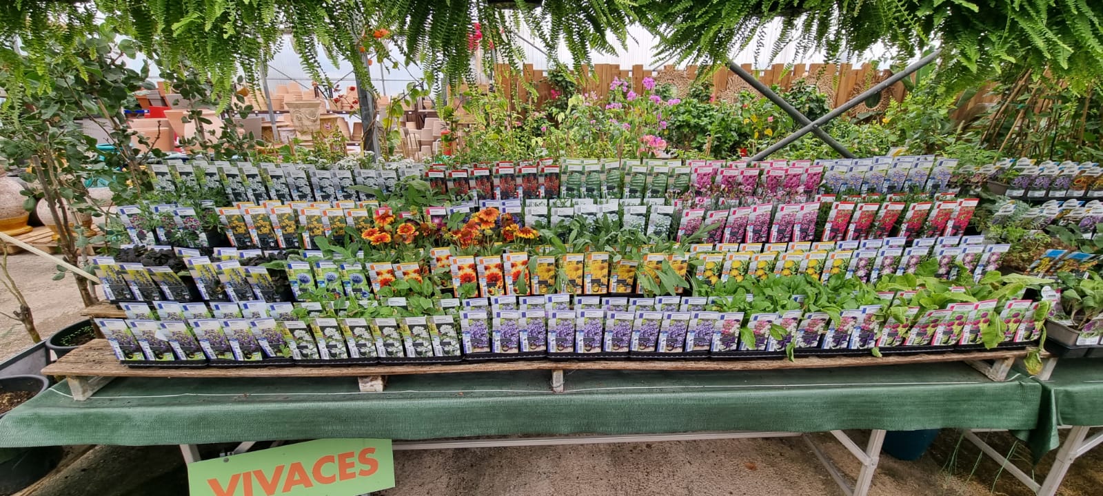 PEPINIERE DES ASPRES GRASSE 2024 ALPES MARITIMES JARDINERIE