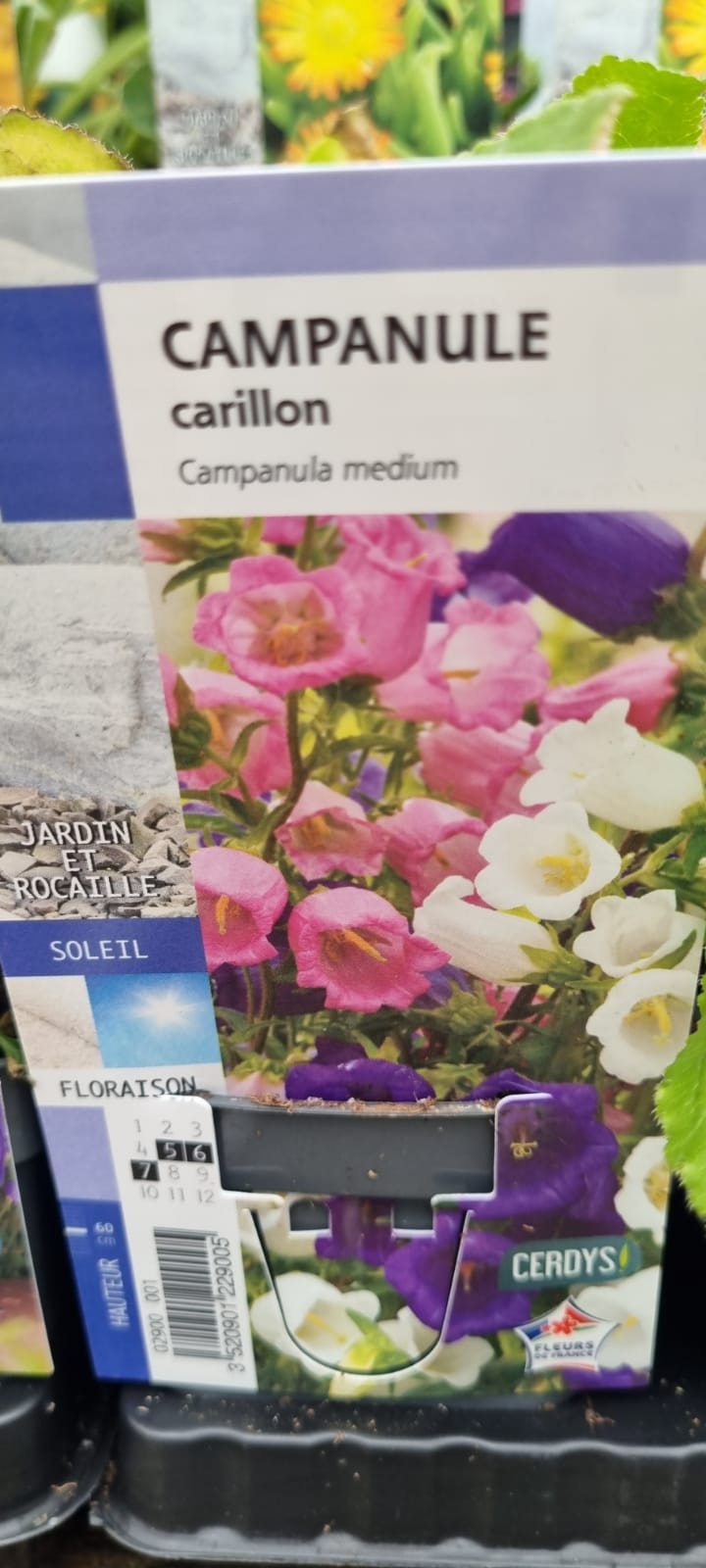 PEPINIERE DES ASPRES GRASSE 2024 ALPES MARITIMES JARDINERIE