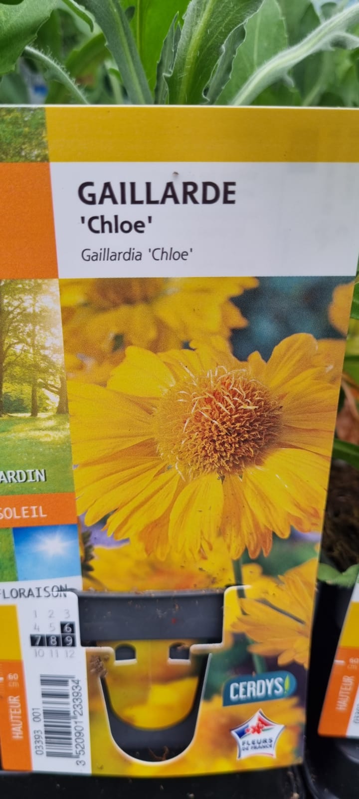 PEPINIERE DES ASPRES GRASSE 2024 ALPES MARITIMES JARDINERIE