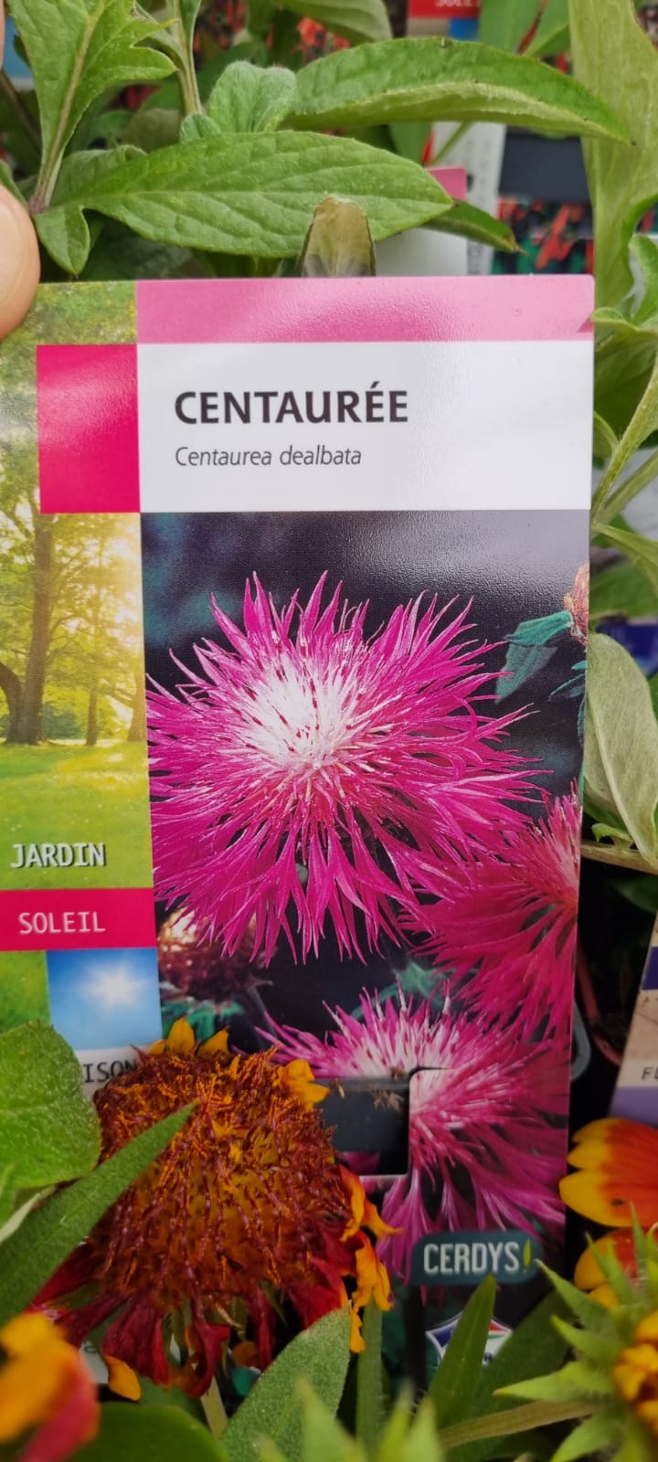 PEPINIERE DES ASPRES GRASSE 2024 ALPES MARITIMES JARDINERIE