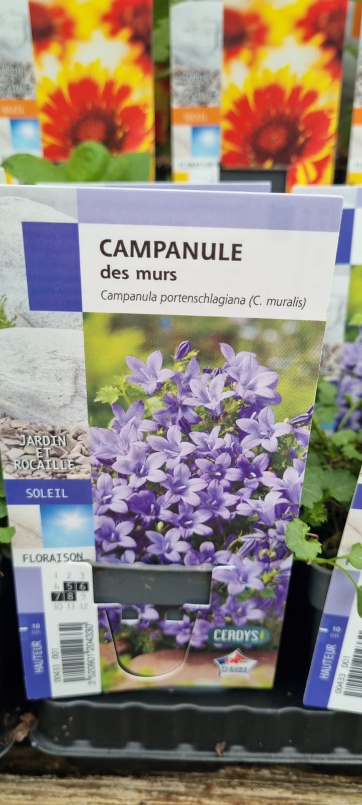 PEPINIERE DES ASPRES GRASSE 2024 ALPES MARITIMES JARDINERIE