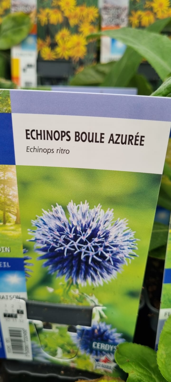 PEPINIERE DES ASPRES GRASSE 2024 ALPES MARITIMES JARDINERIE