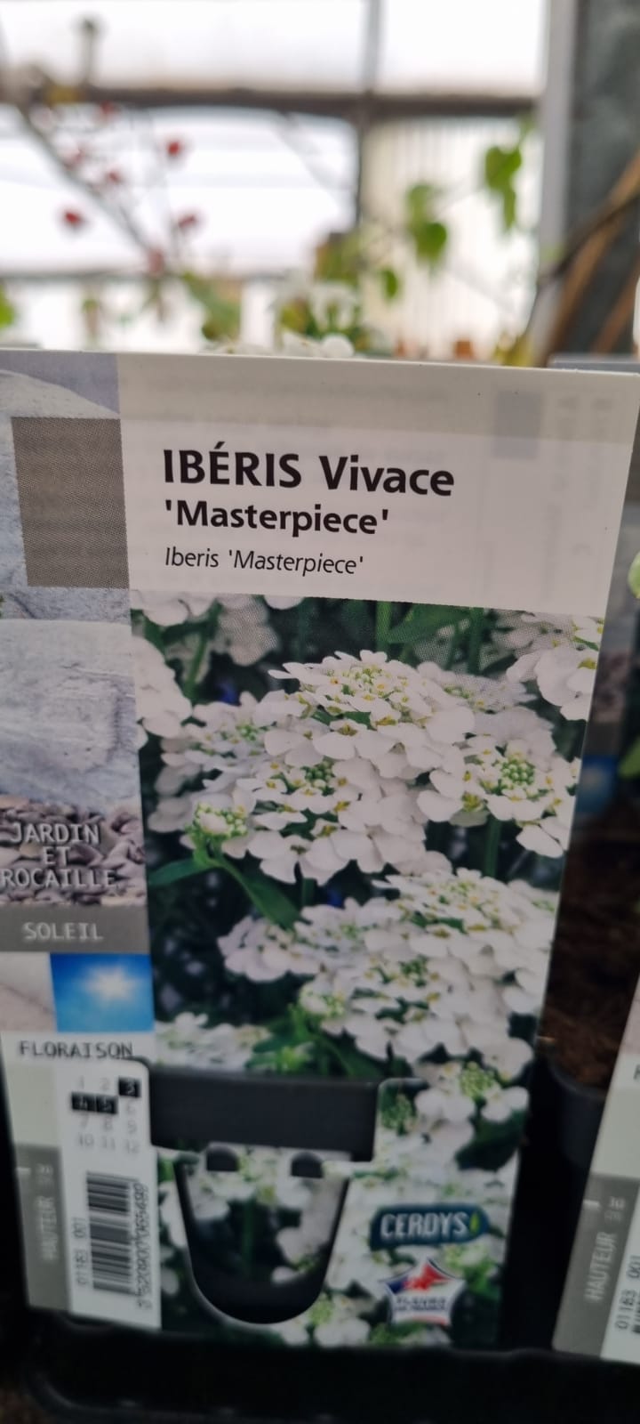 PEPINIERE DES ASPRES GRASSE 2024 ALPES MARITIMES JARDINERIE