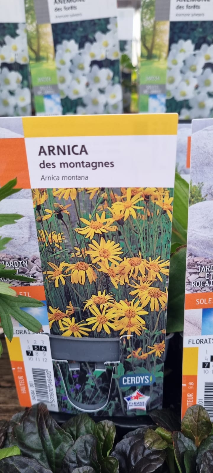 PEPINIERE DES ASPRES GRASSE 2024 ALPES MARITIMES JARDINERIE