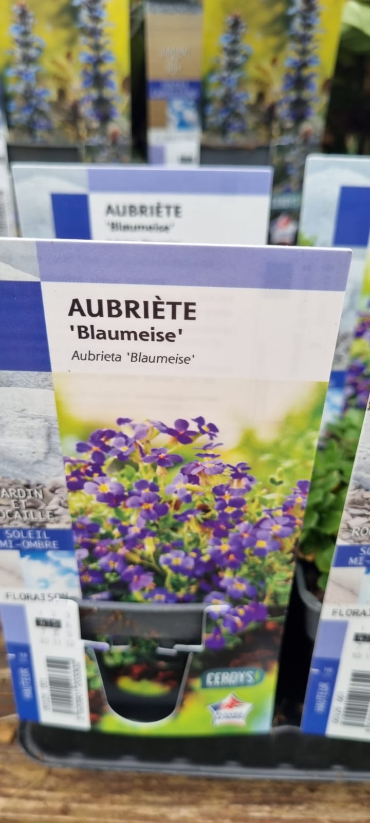 PEPINIERE DES ASPRES GRASSE 2024 ALPES MARITIMES JARDINERIE