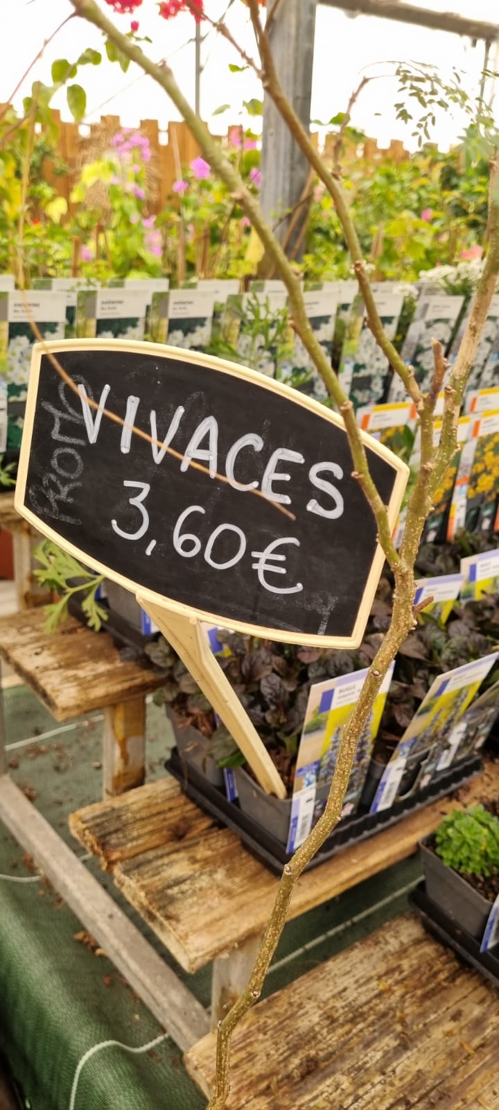 PEPINIERE DES ASPRES GRASSE 2024 ALPES MARITIMES JARDINERIE