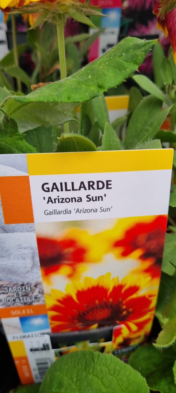 PEPINIERE DES ASPRES GRASSE 2024 ALPES MARITIMES JARDINERIE