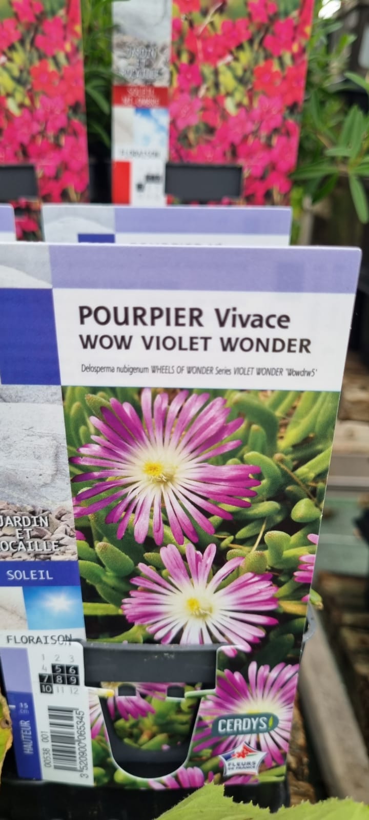 PEPINIERE DES ASPRES GRASSE 2024 ALPES MARITIMES JARDINERIE