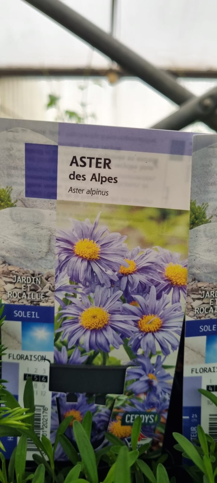 PEPINIERE DES ASPRES GRASSE 2024 ALPES MARITIMES JARDINERIE