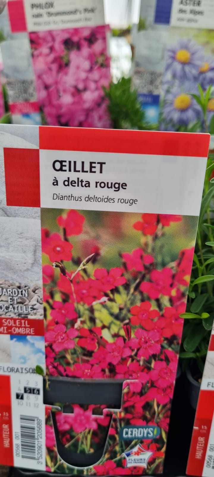 PEPINIERE DES ASPRES GRASSE 2024 ALPES MARITIMES JARDINERIE