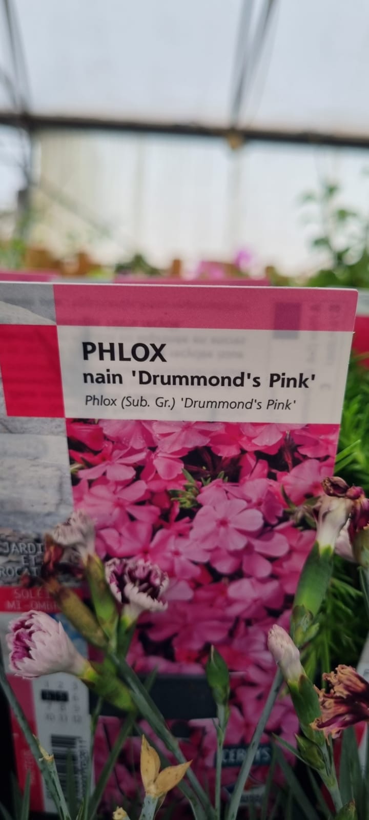 PEPINIERE DES ASPRES GRASSE 2024 ALPES MARITIMES JARDINERIE