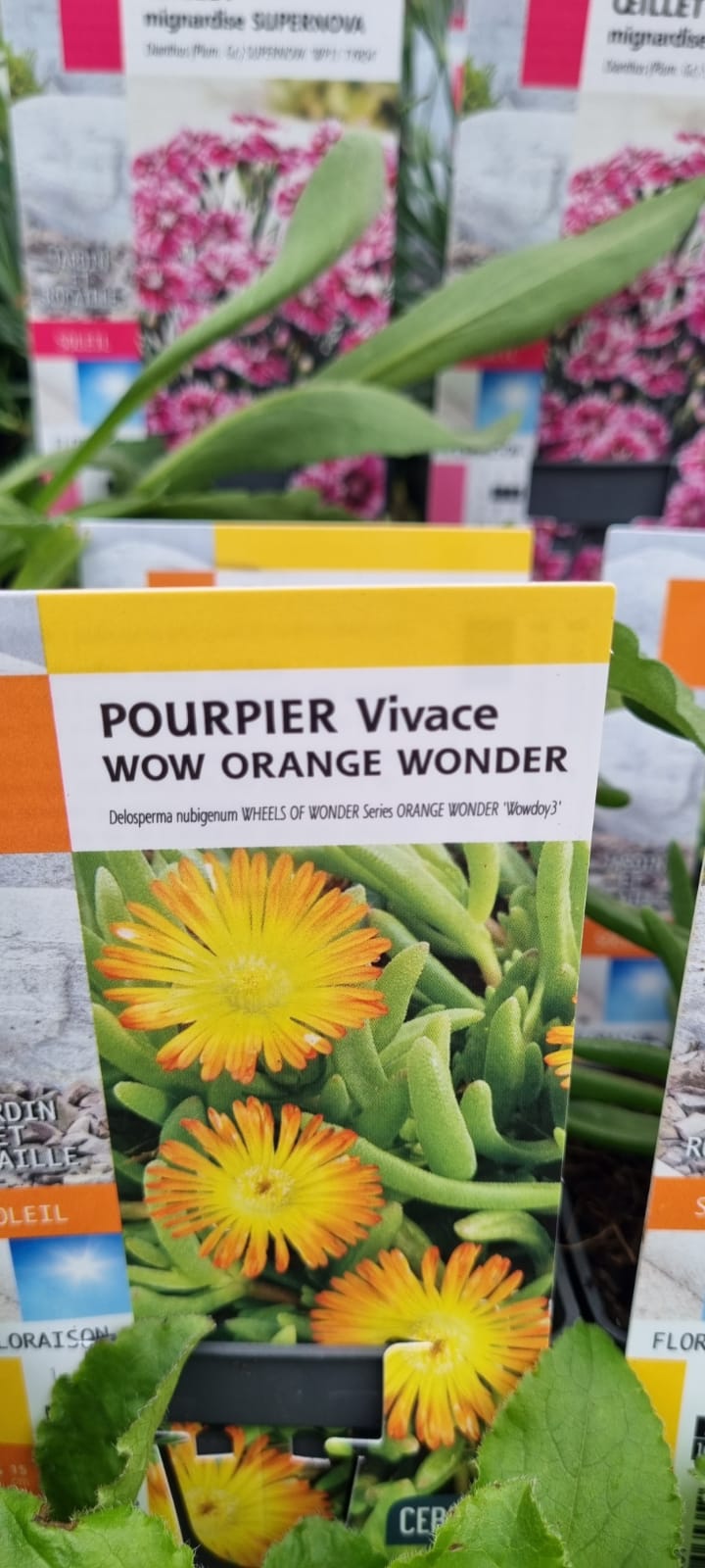 PEPINIERE DES ASPRES GRASSE 2024 ALPES MARITIMES JARDINERIE