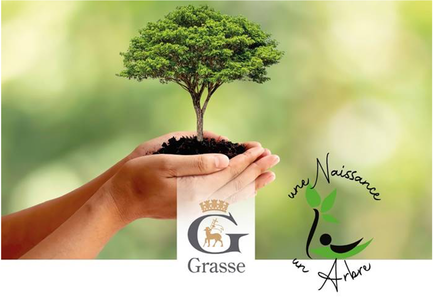 PEPINIERE DES ASPRES GRASSE 2024 ALPES MARITIMES JARDINERIE