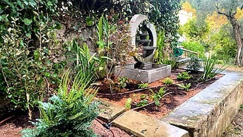 PEPINIERE DES ASPRES GRASSE 2024 ALPES MARITIMES JARDINERIE