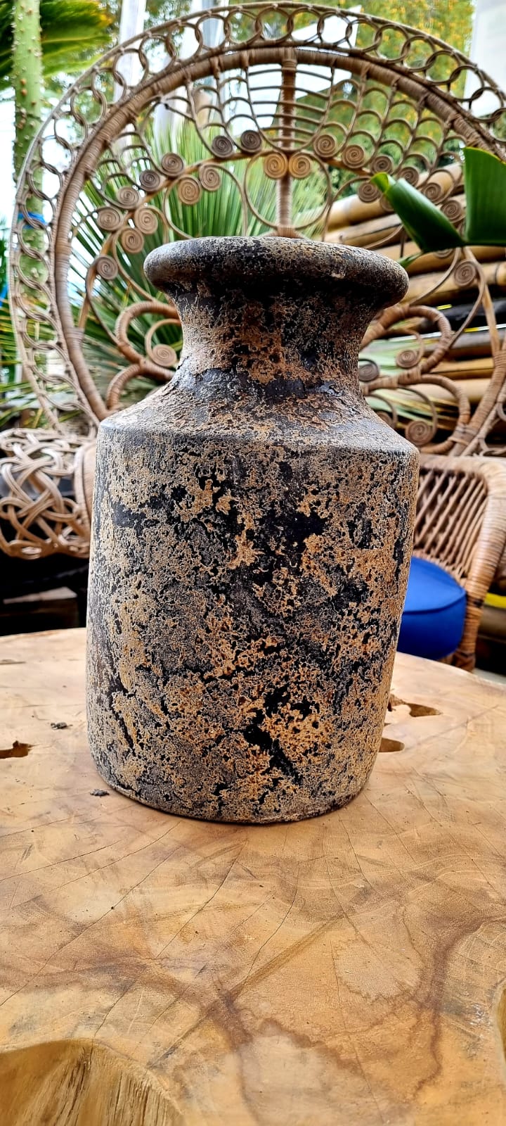 PEPINIERE DES ASPRES GRASSE 2024 ALPES MARITIMES JARDINERIE