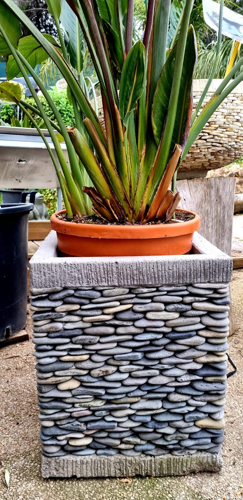 pepiniere jardinerie alpes maritimes 2025 2024 pepinière des aspres jardiner grasse