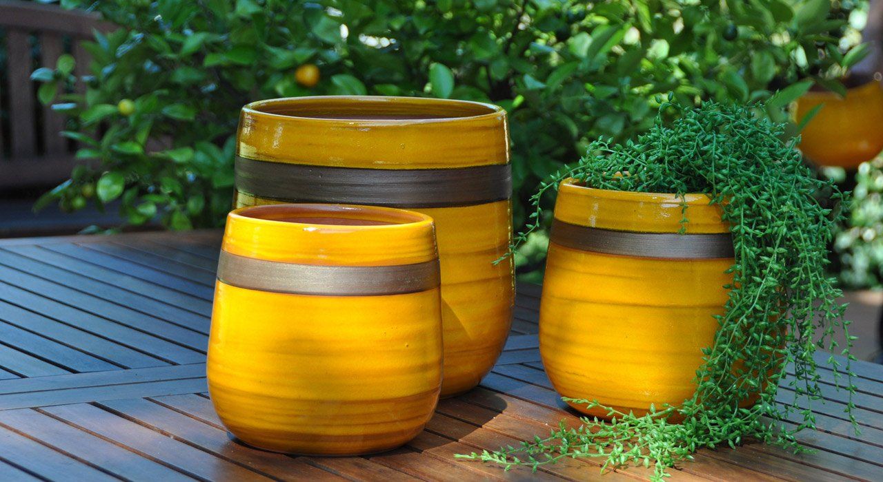 PEPINIERE DES ASPRES GRASSE 2024 ALPES MARITIMES JARDINERIE