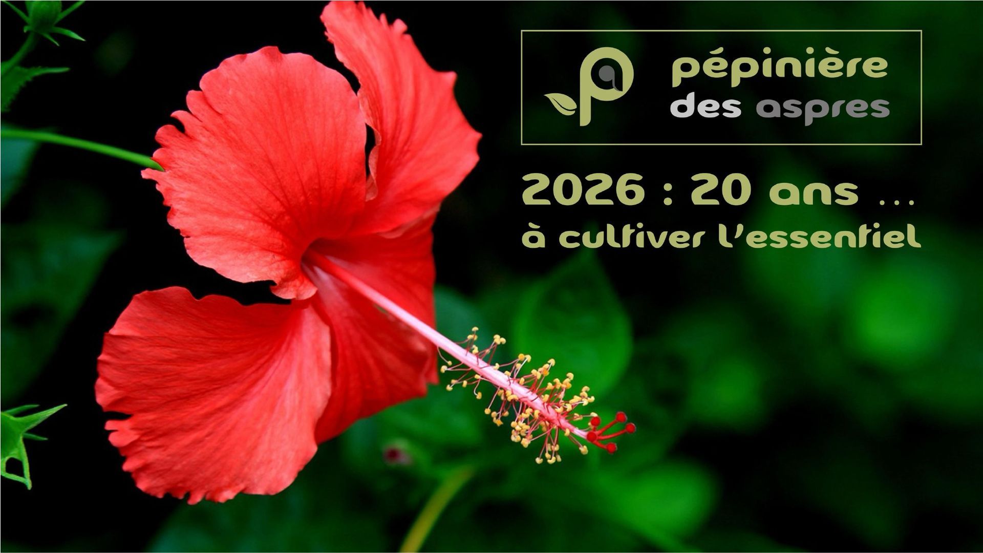 PEPINIERE DES ASPRES GRASSE 2024 ALPES MARITIMES JARDINERIE