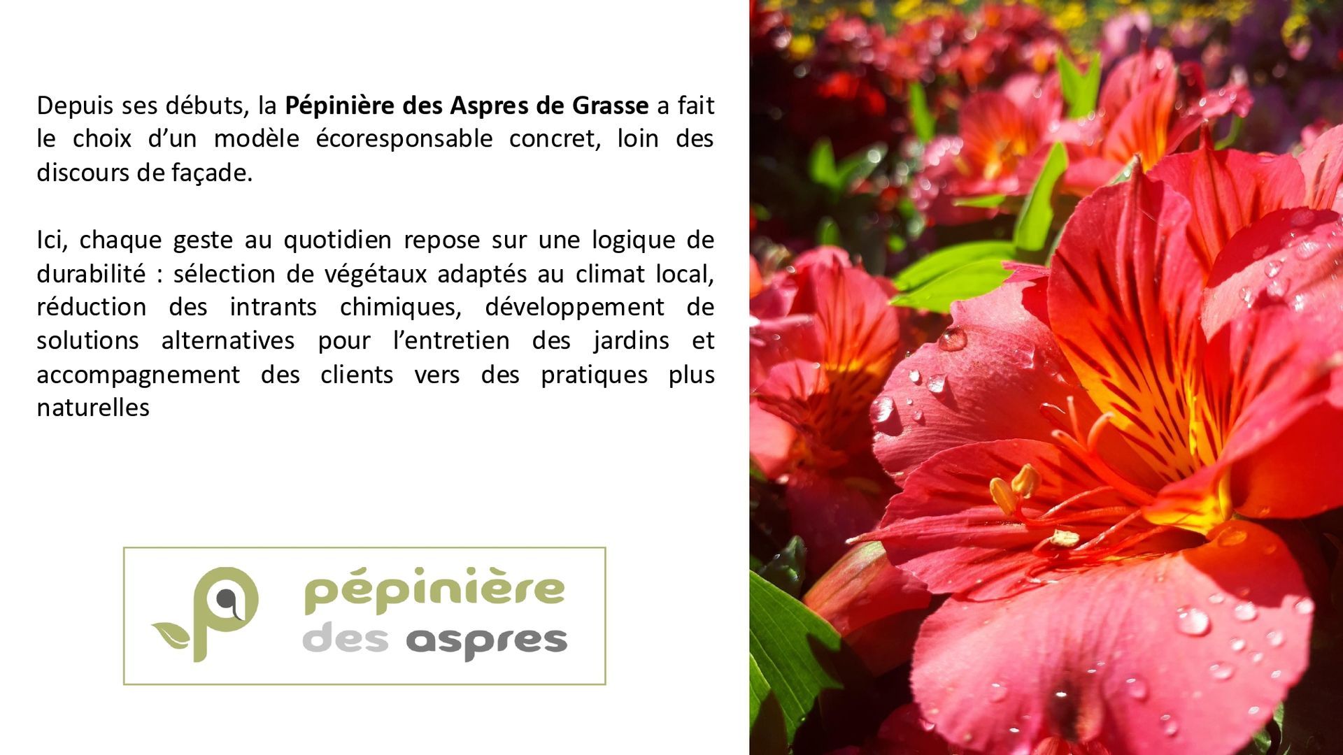 PEPINIERE DES ASPRES GRASSE 2024 ALPES MARITIMES JARDINERIE