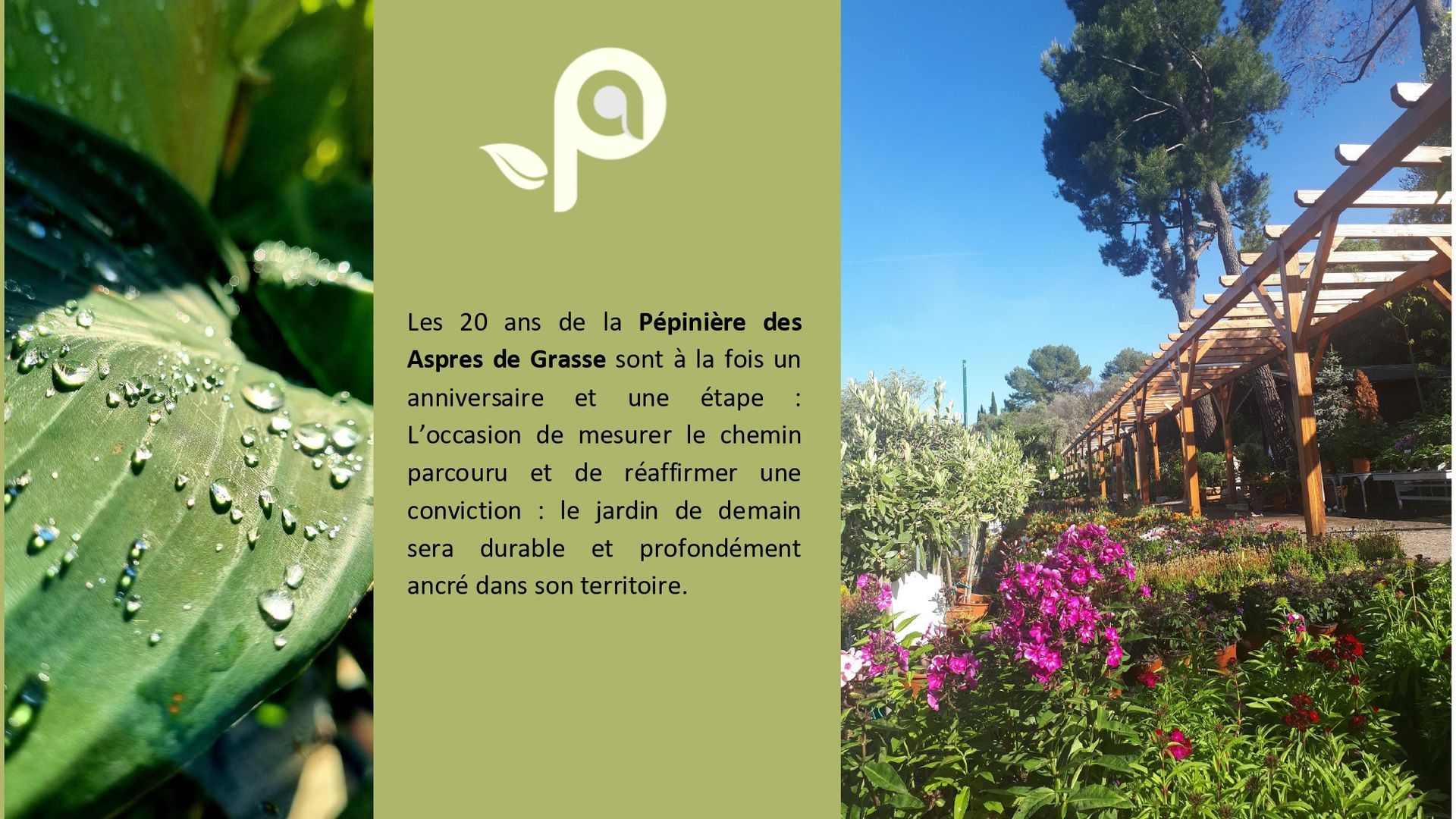 PEPINIERE DES ASPRES GRASSE 2024 ALPES MARITIMES JARDINERIE