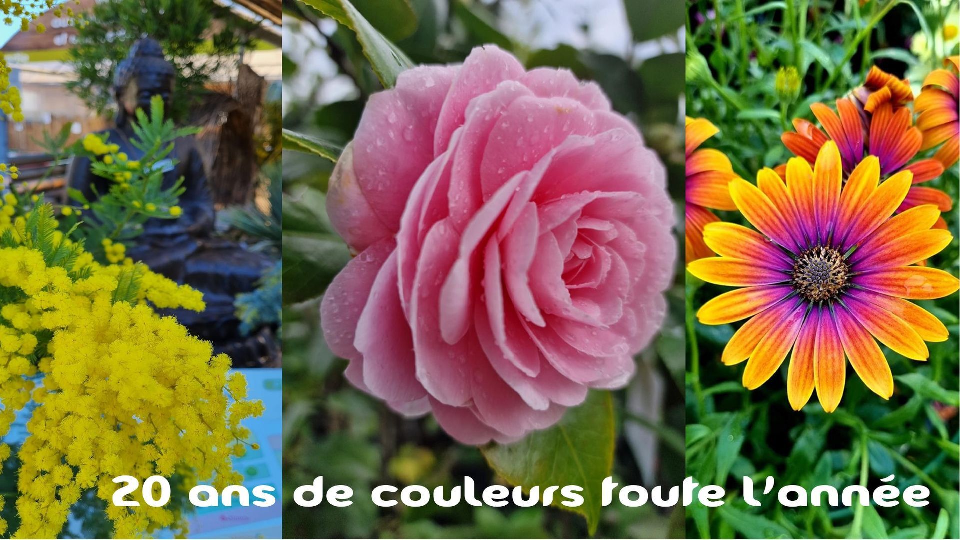 PEPINIERE DES ASPRES GRASSE 2024 ALPES MARITIMES JARDINERIE