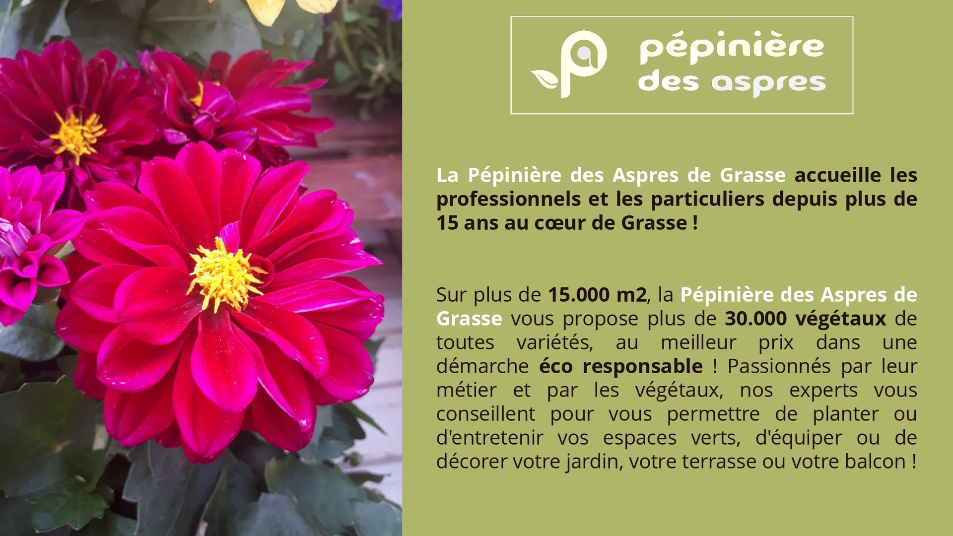 pepiniere jardinerie alpes maritimes 2025 2024 pepinière des aspres jardiner grasse