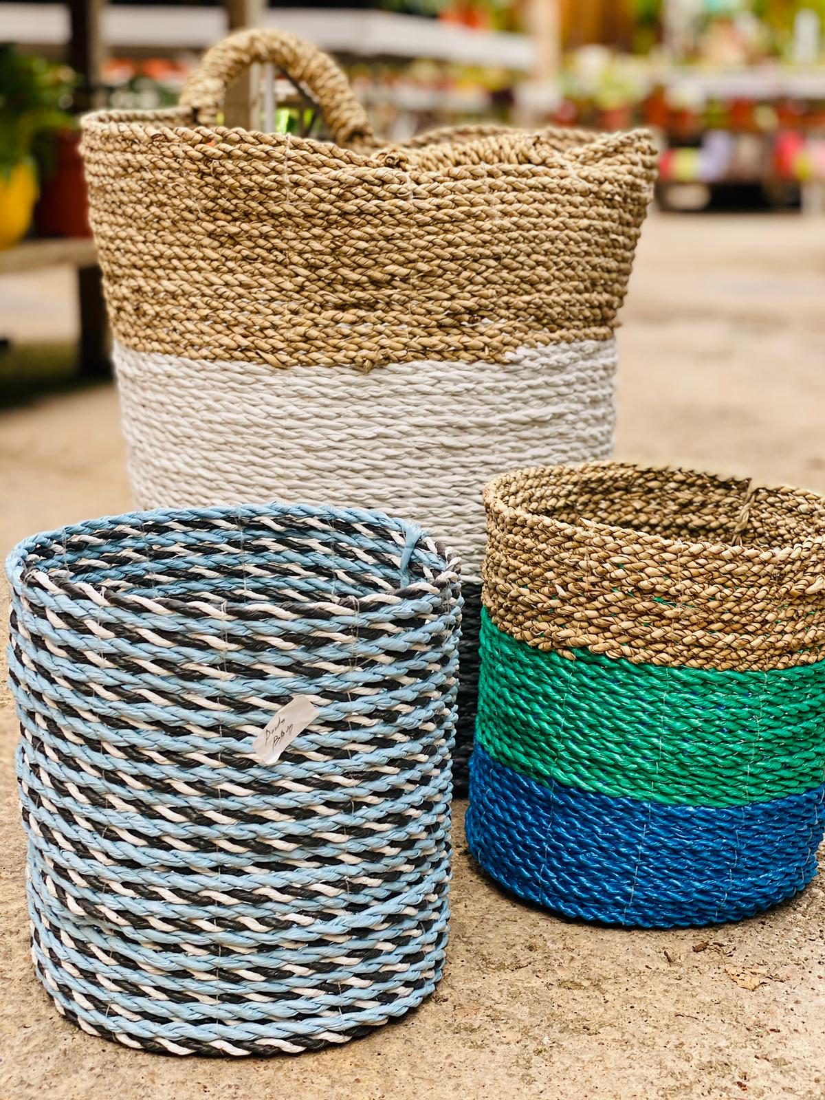 PEPINIERE DES ASPRES GRASSE 2024 ALPES MARITIMES JARDINERIE