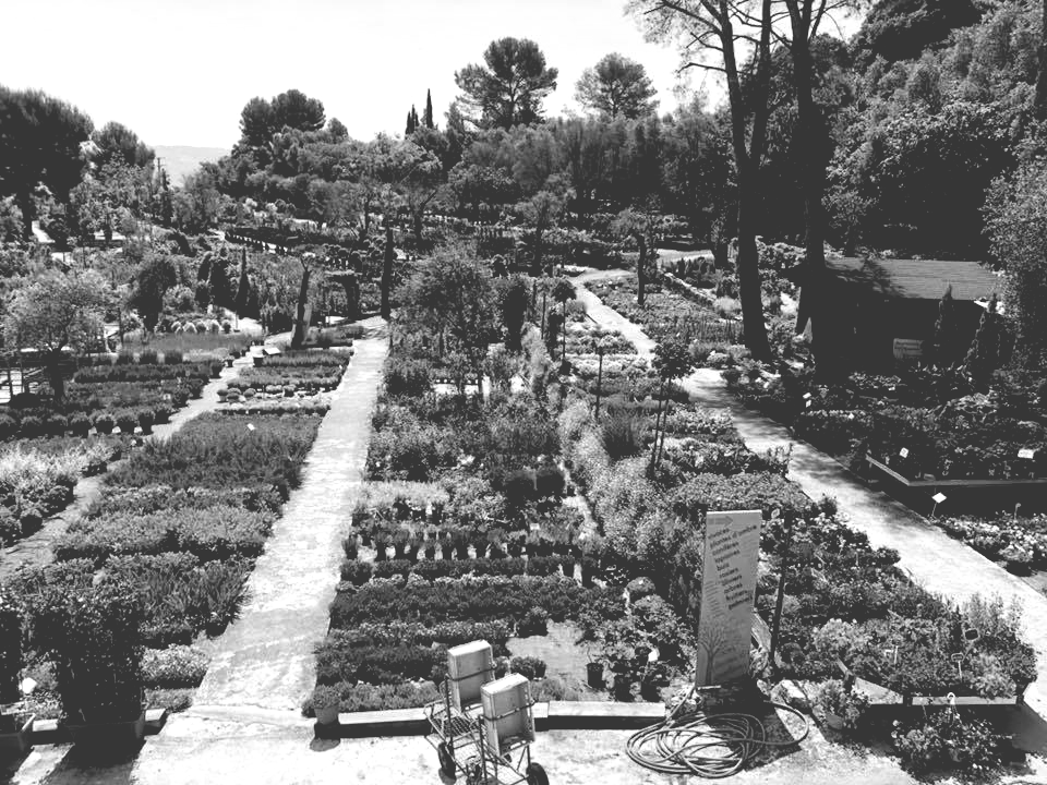 PEPINIERE DES ASPRES GRASSE 2024 ALPES MARITIMES JARDINERIE