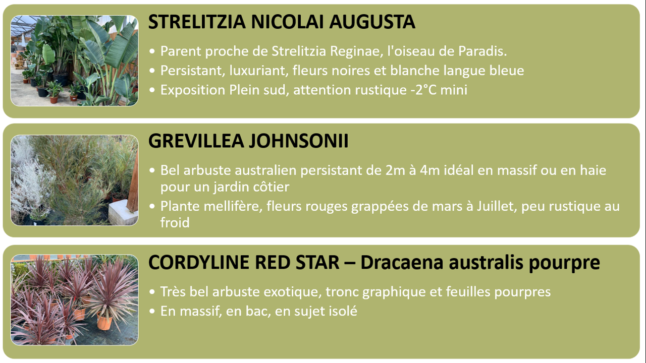 PEPINIERE DES ASPRES GRASSE 2024 ALPES MARITIMES JARDINERIE