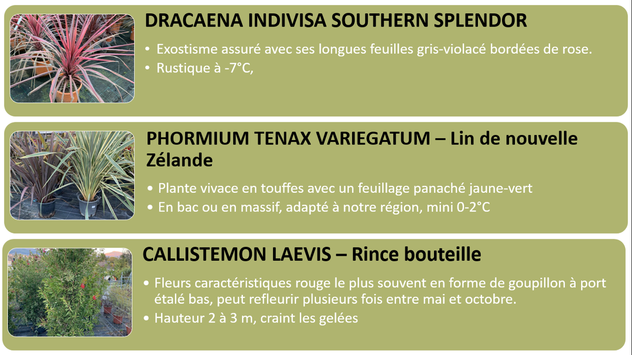 PEPINIERE DES ASPRES GRASSE 2024 ALPES MARITIMES JARDINERIE
