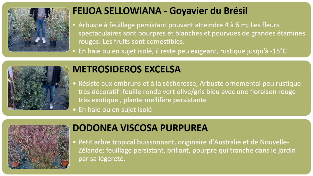 PEPINIERE DES ASPRES GRASSE 2024 ALPES MARITIMES JARDINERIE