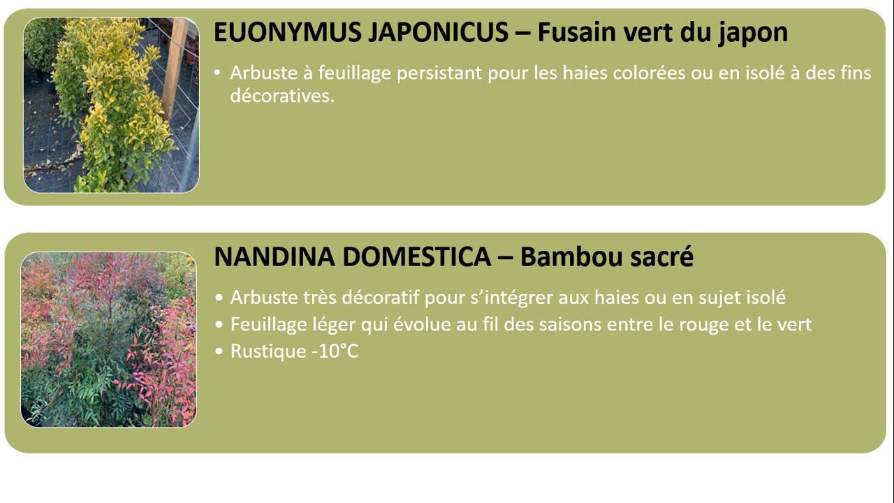 PEPINIERE DES ASPRES GRASSE 2024 ALPES MARITIMES JARDINERIE