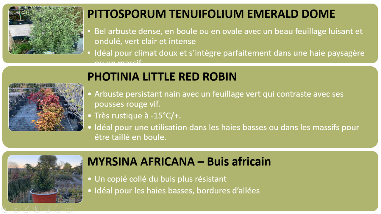 PEPINIERE DES ASPRES GRASSE 2024 ALPES MARITIMES JARDINERIE