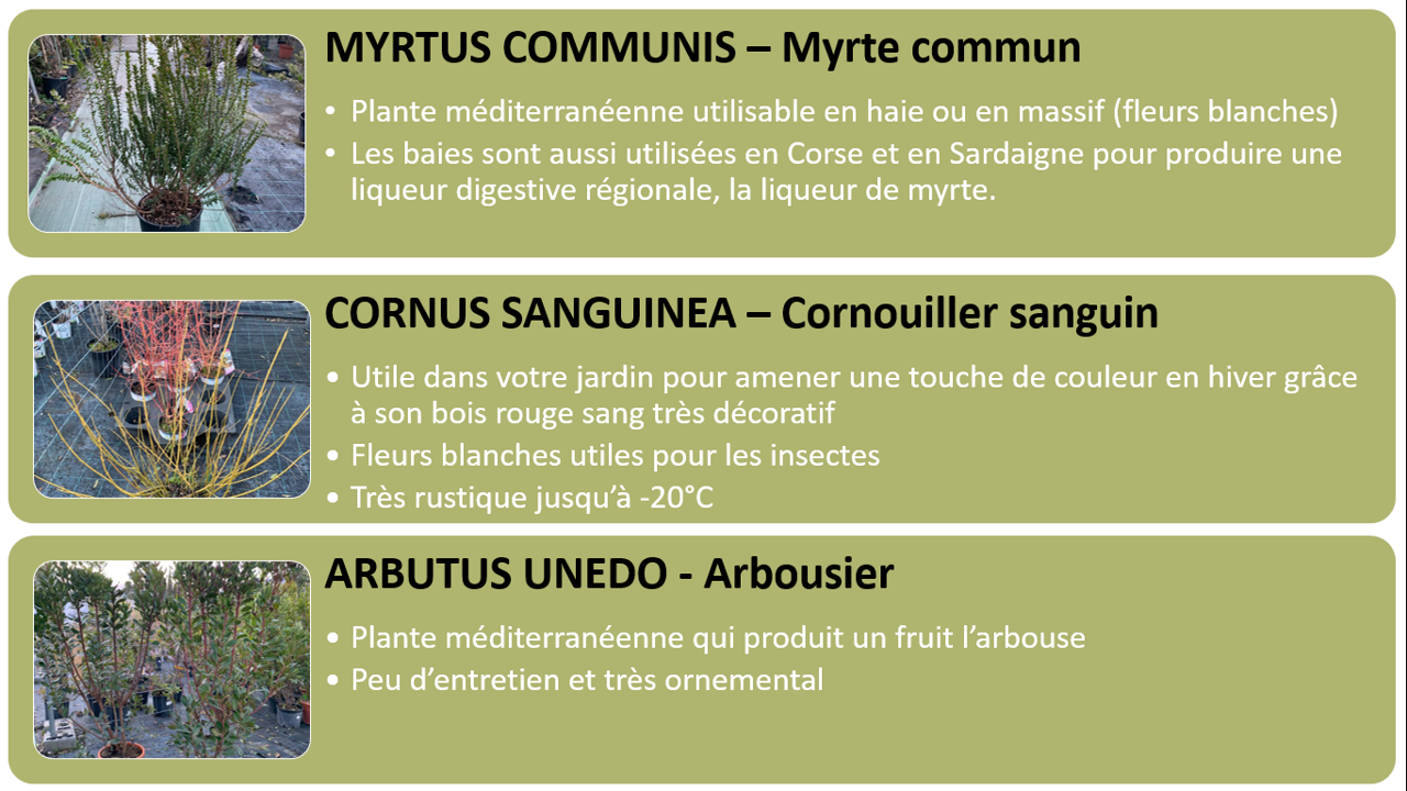 PEPINIERE DES ASPRES GRASSE 2024 ALPES MARITIMES JARDINERIE