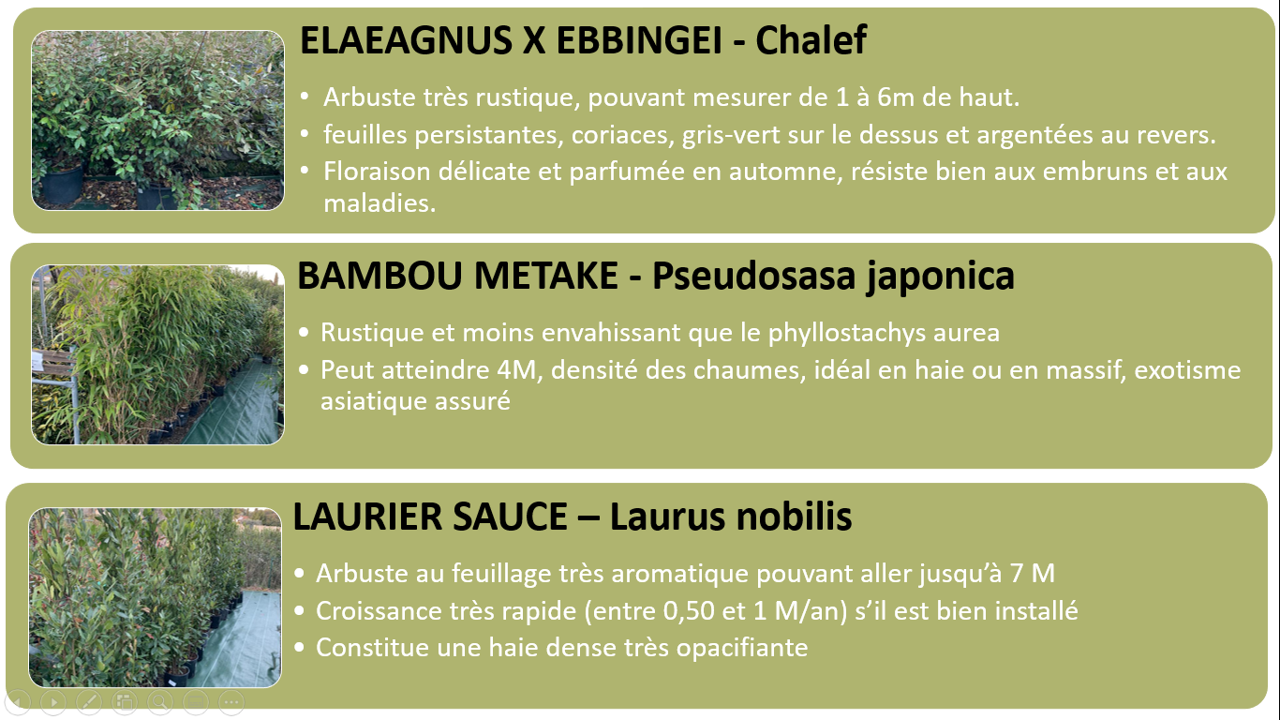 PEPINIERE DES ASPRES GRASSE 2024 ALPES MARITIMES JARDINERIE